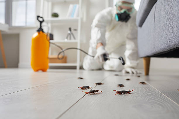 Commercial Kitchen Cockroach Control in Marshallton